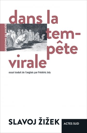 Couverture du livre : Dans la tempête virale